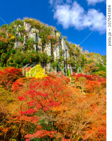 大分耶馬渓_一目八景の紅葉絶景 大分耶馬渓_一目八景の紅葉絶景 107643866