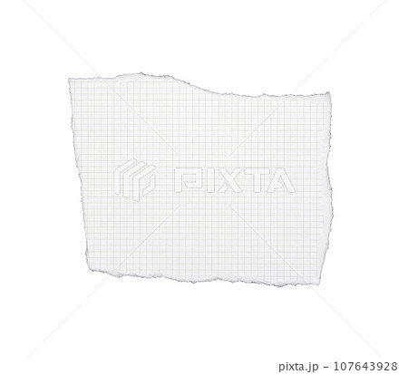 paper has grid lines torn into pieces isolated on white background 107643928