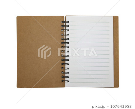 Blank notebook paper with ring spine isolated on white background Blank notebook paper with ring spine isolated on white background 107643958
