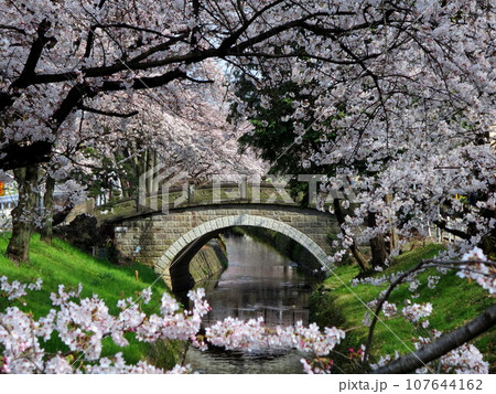 深谷駅、瀧宮神社付近 唐沢川の桜と橋 107644162