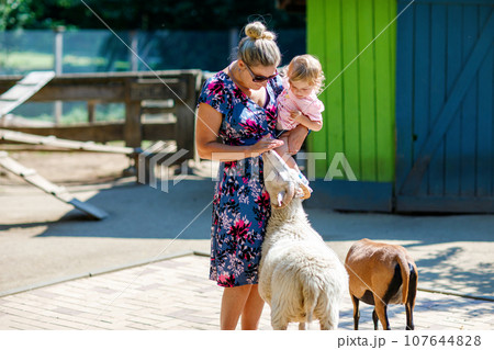 Adorable cute toddler girl and young mother feeding little goats and sheeps on kids farm. Beautiful baby child petting animals in petting zoo. Woman and daughter together on family weekend vacations Adorable cute toddler girl and young mother feeding little goats and sheeps on kids farm. Beautiful baby child petting animals in petting zoo. Woman and daughter together on family weekend vacations 107644828
