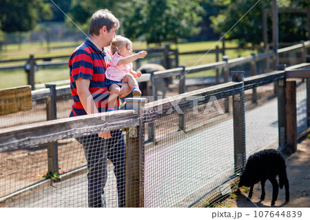 Adorable cute toddler girl and young father feeding little goats and sheeps on a kids farm. Beautiful baby child petting animals in petting zoo. man and daughter together on family weekend vacations. Adorable cute toddler girl and young father feeding little goats and sheeps on a kids farm. Beautiful baby child petting animals in petting zoo. man and daughter together on family weekend vacations. 107644839