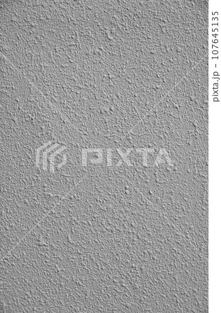 リシン吹付仕上げ外装の塗装グレー リシン吹付仕上げ外装の塗装グレー 107645135