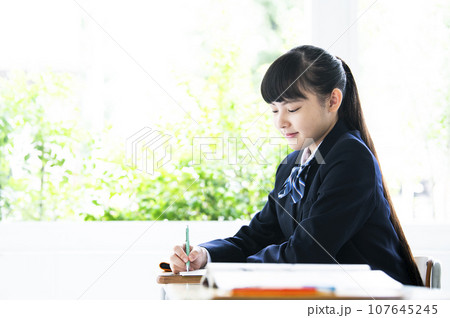 勉強する女子中学生 勉強する女子中学生 107645245