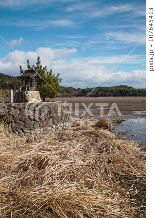冬の広沢池 冬の広沢池 107645413