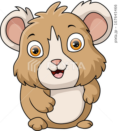 Cute baby hamster on white background 107645466