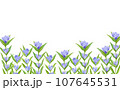 リンドウの花の水彩フレーム 107645531