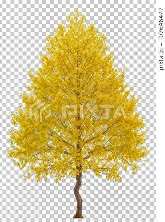 背景透過 紅葉した樹木 AI画像 背景透過 紅葉した樹木 AI画像 107646427