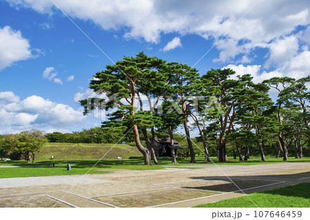 函館市 函館五稜郭 園内風景 函館市 函館五稜郭 園内風景 107646459