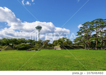 函館市 函館五稜郭 園内風景 函館市 函館五稜郭 園内風景 107646460