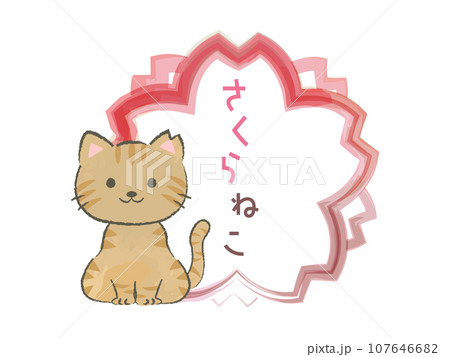 耳をカットしたさくら猫のイラスト1 耳をカットしたさくら猫のイラスト1 107646682