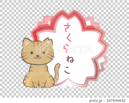 割耳櫻花貓圖解1 割耳櫻花貓圖解1 107646682