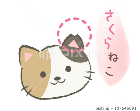 耳をカットしたさくら猫のイラスト2 107646691