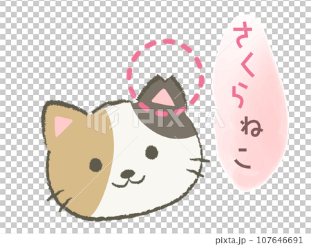 耳をカットしたさくら猫のイラスト2 107646691