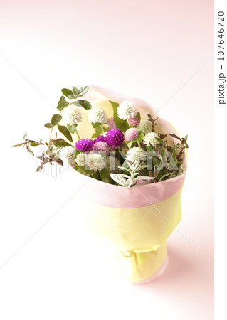 千日紅の花束 107646720