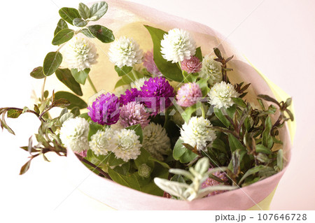 千日紅の花束 107646728