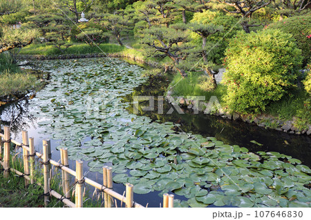春の道後公園探索 春の道後公園探索 107646830