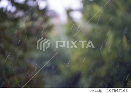 自然を背景にした雨イメージ｜豪雨イメージ｜背景素材 107647168