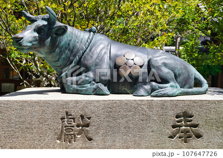 菅原院天満宮神社の牛（京都市上京区） 107647726