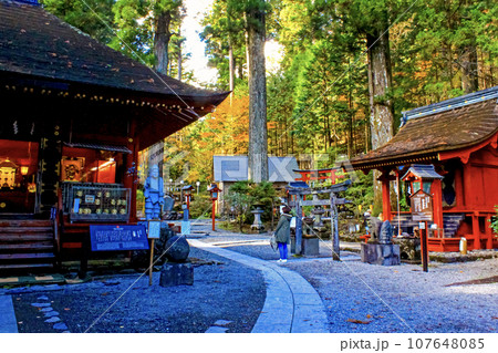 【栃木】秋の日光二荒山神社神苑　大黒殿と朋友神社 107648085