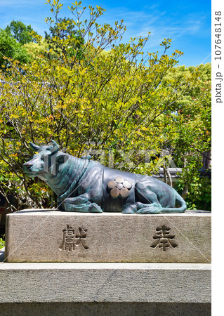 菅原院天満宮神社の牛（京都市上京区） 107648148