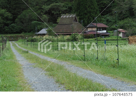 茅葺屋根の民家 茅葺屋根の民家 107648575