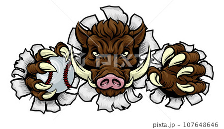 Boar Wild Hog Razorback Warthog Baseball Mascot 107648646