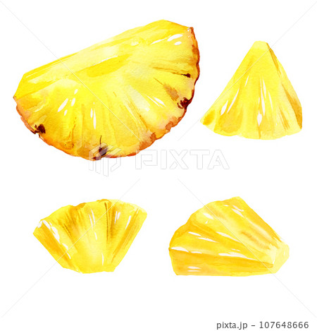 watercolor hand drawn illustration of pineapples slices, ripe triangular pieces of pineapple, sketch of tropical fruit, food illustration isolated on watercolor background watercolor hand drawn illustration of pineapples slices, ripe triangular pieces of pineapple, sketch of tropical fruit, food illustration isolated on watercolor background 107648666