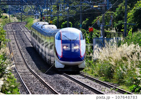秋の陸奥路を山形へ…　E3系・山形新幹線『つばさ』 107648783