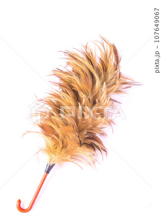 Feather cleaning on isolated white background 107649067