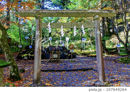 【栃木】秋の日光二荒山神社 神苑の日光連山遥拝所の鳥居 【栃木】秋の日光二荒山神社 神苑の日光連山遥拝所の鳥居 107649264