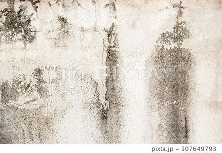 Hi res white grunge textures and background Hi res white grunge textures and background 107649793