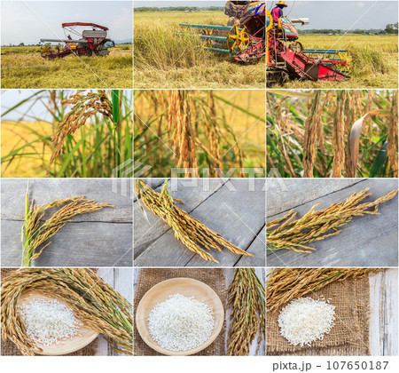Harvester machinery 107650187
