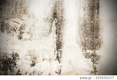 Hi res white grunge textures and background Hi res white grunge textures and background 107650257