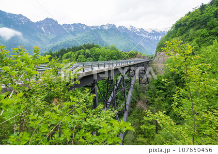 新緑の北アルプス大橋《奥飛騨・新穂高》 107650456