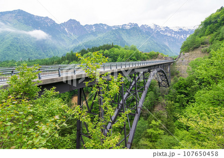 新緑の北アルプス大橋《奥飛騨・新穂高》 新緑の北アルプス大橋《奥飛騨・新穂高》 107650458
