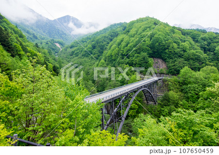 新緑の北アルプス大橋《奥飛騨・新穂高》 107650459