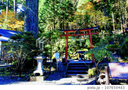 【栃木】秋の日光二荒山神社　神苑の二荒霊泉の鳥居 107650483