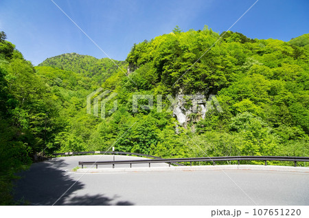 《長野県》白骨温泉周辺の新緑 《長野県》白骨温泉周辺の新緑 107651220