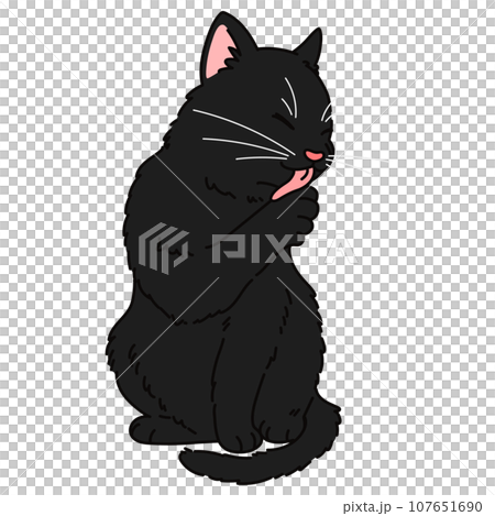 毛づくろいをするシンプルで可愛い黒猫のイラスト 107651690