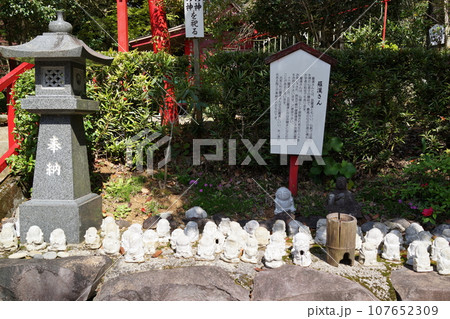 加紫久利神社 　出水市　鹿児島県 107652309
