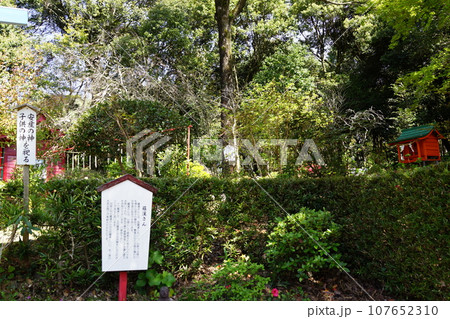 加紫久利神社 　出水市　鹿児島県 107652310
