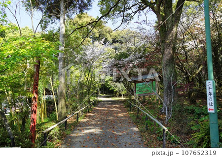 加紫久利神社 　出水市　鹿児島県 107652319