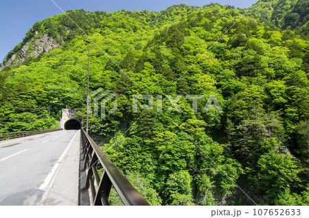 渓谷の新緑《梓川渓谷・R158沿い・栂桜橋》 渓谷の新緑《梓川渓谷・R158沿い・栂桜橋》 107652633