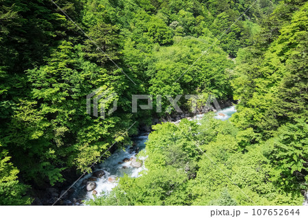 渓谷の新緑《梓川渓谷・R158沿い・栂桜橋》 渓谷の新緑《梓川渓谷・R158沿い・栂桜橋》 107652644