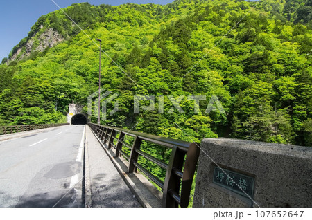 渓谷の新緑《梓川渓谷・R158沿い・栂桜橋》 渓谷の新緑《梓川渓谷・R158沿い・栂桜橋》 107652647