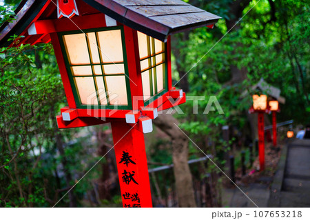 等々力不動の灯籠。1000年の歴史をつなげる伝統期な神社。 等々力不動の灯籠。1000年の歴史をつなげる伝統期な神社。 107653218