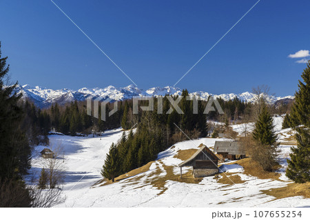 Typical wooden log cabins in Gorjuse, Triglavski national park, Slovenia Typical wooden log cabins in Gorjuse, Triglavski national park, Slovenia 107655254