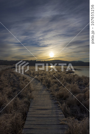 nature reserve Olsina, Sumava National Park, Czech Republic 107655256