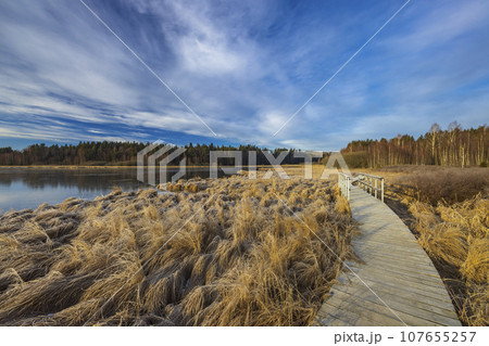 nature reserve Olsina, Sumava National Park, Czech Republic nature reserve Olsina, Sumava National Park, Czech Republic 107655257
